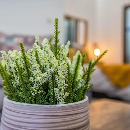 Appartement Garesc Lofts *